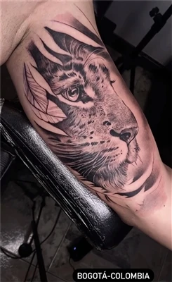 Kaj pomeni half Tiger Tattoo?